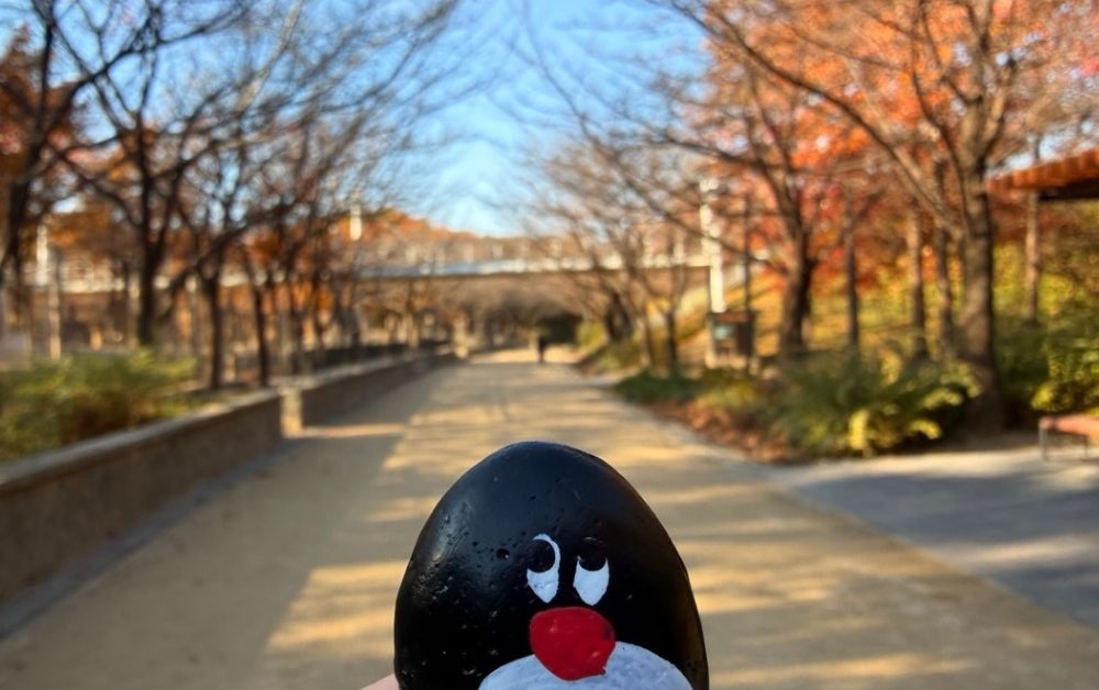Hand-painted penguin stone #716 hidden at Deer Enclosure, Seoul, South Korea (photo 1 of 5)