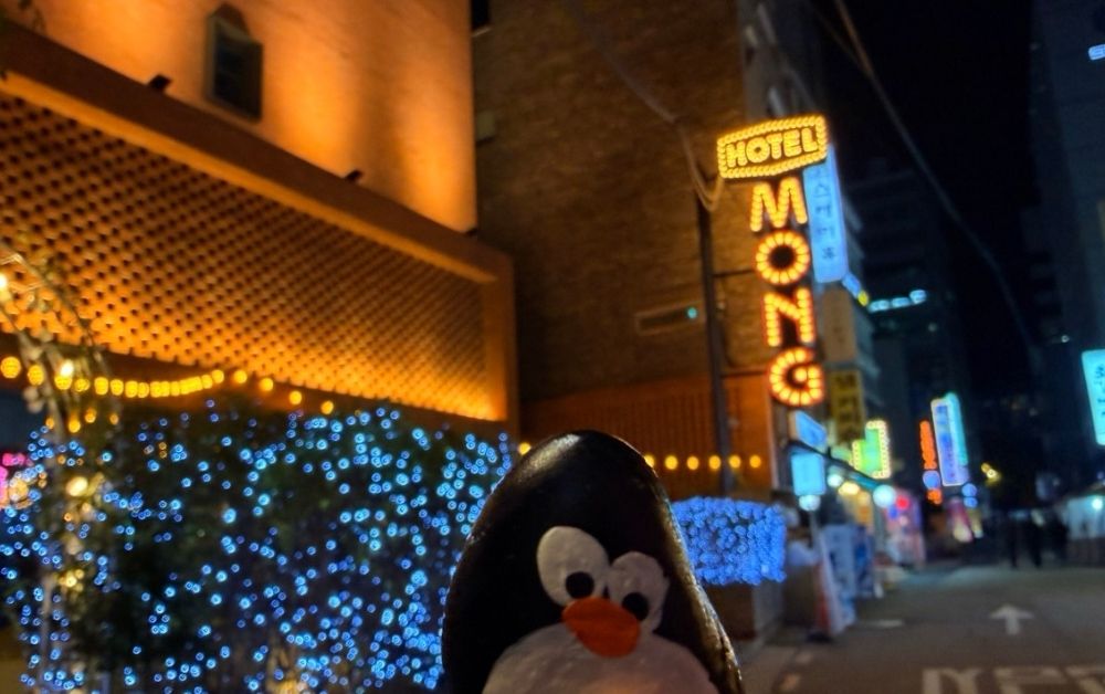 Hand-painted penguin stone #723 hidden at LeMong Hotel, Seoul, South Korea (photo 1 of 5)