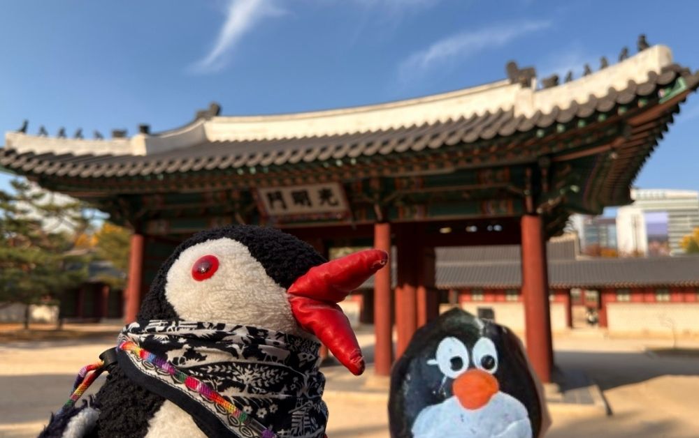 Hand-painted penguin stone #727 hidden at Deoksukung Palace, Seoul, South Korea (photo 1 of 5)