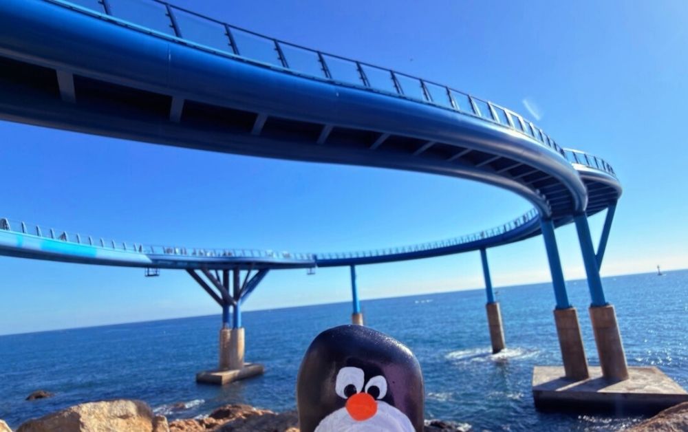 Hand-painted penguin stone #746 hidden at Cheongsapo Daritdol Skywalk, Busan, South Korea (photo 1 of 5)