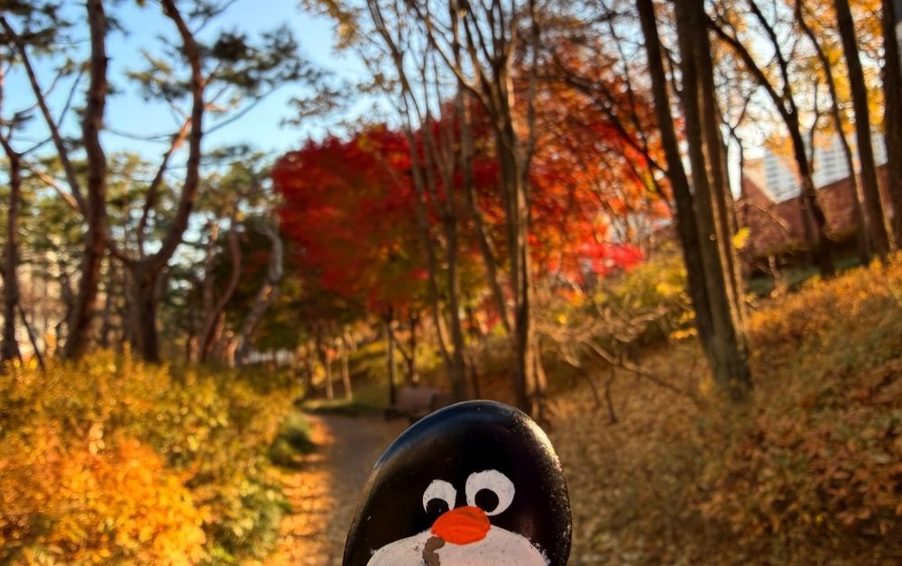 Hand-painted penguin stone #747 hidden at Hongdae, Seoul, South Korea (photo 1 of 5)