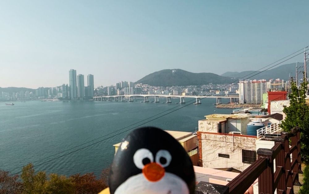 Hand-painted penguin stone #749 hidden at Huin-yeoul Observatory, Busan, South Korea (photo 1 of 5)