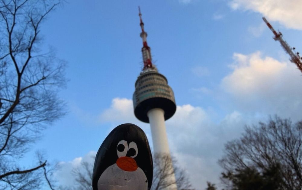 Hand-painted penguin stone #772 hidden at N Seoul Tower, Seoul, South Korea (photo 1 of 5)