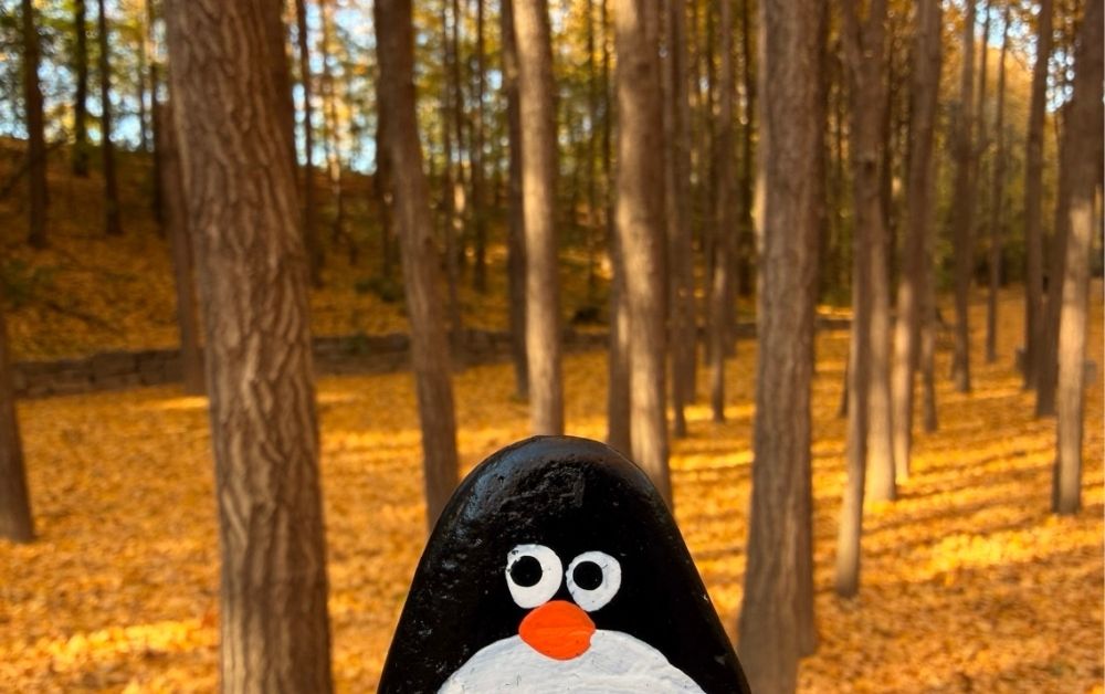 Hand-painted penguin stone #775 hidden at Ginkgo Tree Forest, Seoul, South Korea (photo 1 of 5)