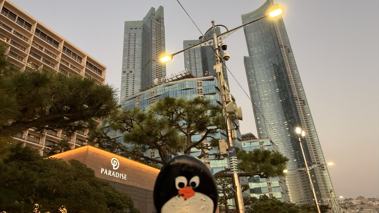 Hand-painted penguin stone #776 hidden at Haeundae Beach, Busan, South Korea (photo 1 of 5)