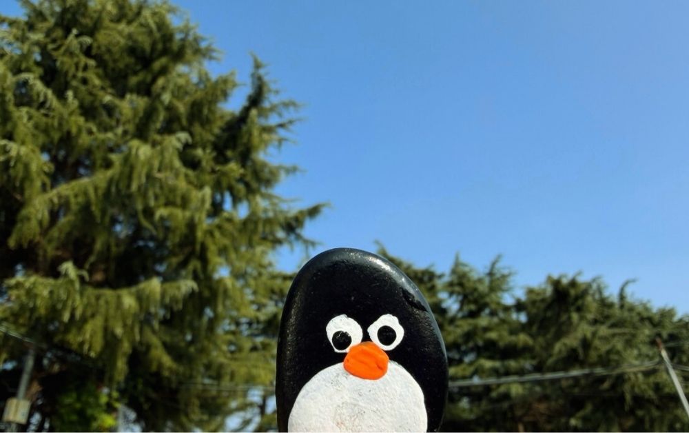 Hand-painted penguin stone #787 hidden at Gamcheon Culture Village, Busan, South Korea (photo 1 of 5)