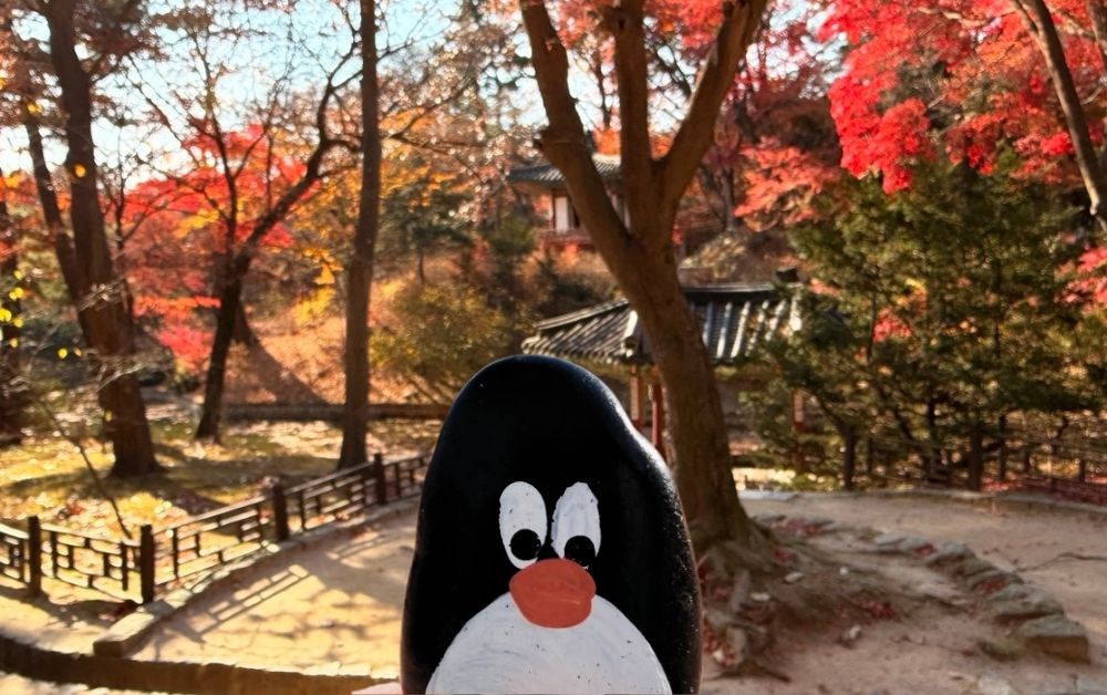 Hand-painted penguin stone #788 hidden at Tree at the Secret Garden, Seoul, South Korea (photo 1 of 5)