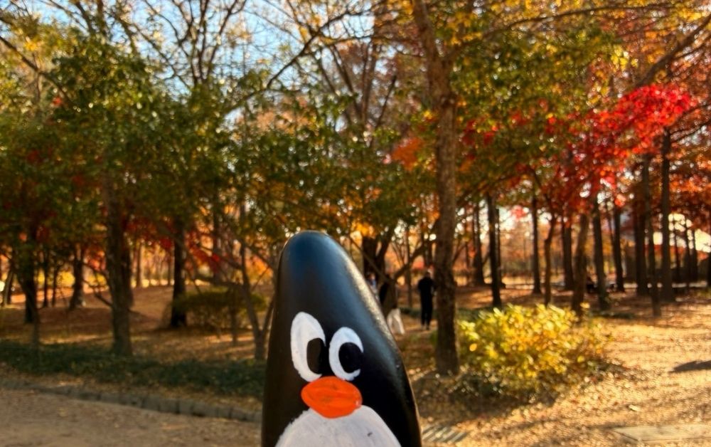 Hand-painted penguin stone #792 hidden at Seoul Forest, Seoul, South Korea (photo 1 of 5)