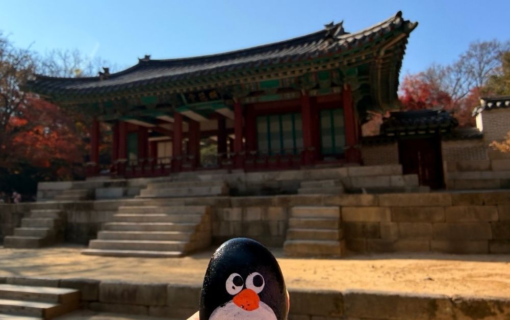 Hand-painted penguin stone #795 hidden at Yeongyeong-dang Hall at Secret Garden, Seoul, South Korea (photo 1 of 5)