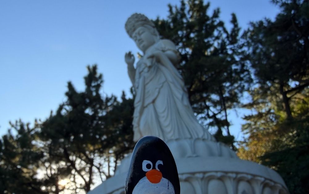 Hand-painted penguin stone #799 hidden at Budha Statue at Haedong Yonggungsa Temple, Busan, South Korea (photo 1 of 5)