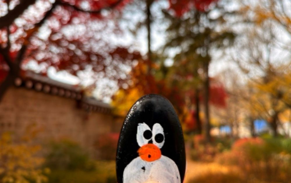 Hand-painted penguin stone #807 hidden at Cheongwadae Sarangchae, Seoul, South Korea (photo 1 of 5)
