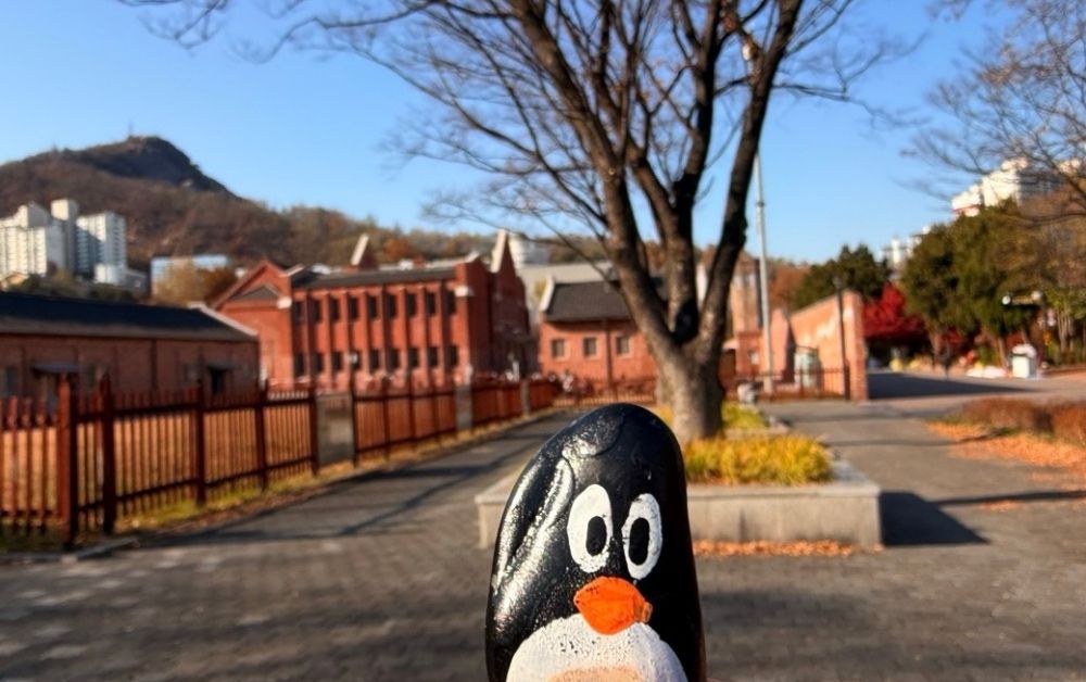Hand-painted penguin stone #810 hidden at Seodaemun Independence Park & Prison History Hall, Seoul, South Korea (photo 1 of 5)
