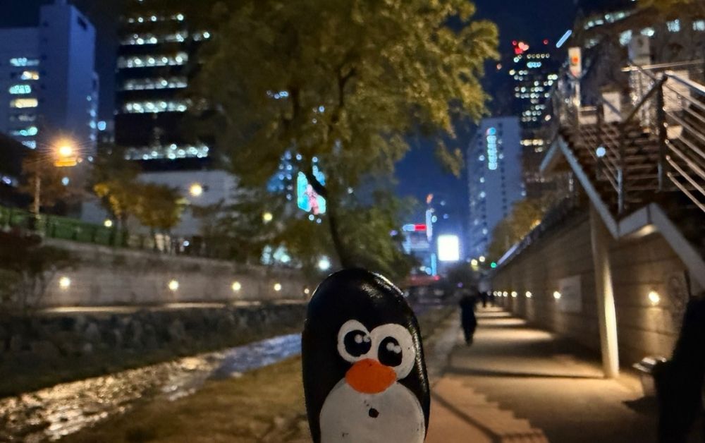 Hand-painted penguin stone #841 hidden at Gwangtonggyo Bridge at Cheonggyecheon Stream, Seoul, South Korea (photo 1 of 5)