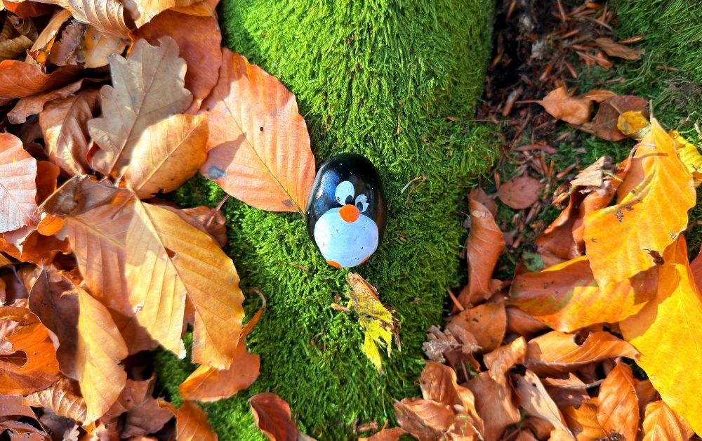 Hand-painted penguin stone #853 hidden at Tree close to Blue Trail, The Little Carpathians, Slovakia (photo 1 of 5)