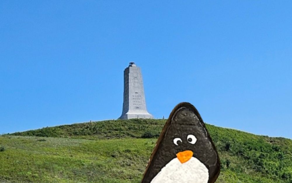Hand-painted penguin stone #268 hidden at Wright Brothers National Memorial, North Carolina, United States (photo 1 of 5)