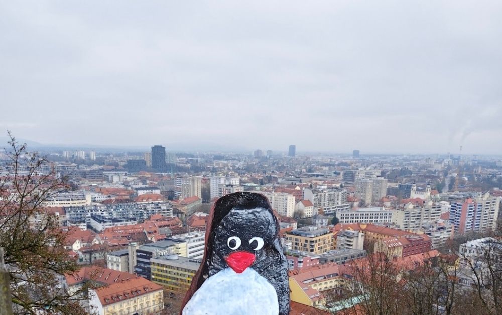 Hand-painted penguin stone #301 hidden at Ljubljana Castle, Ljubljana, Slovenia (photo 1 of 5)