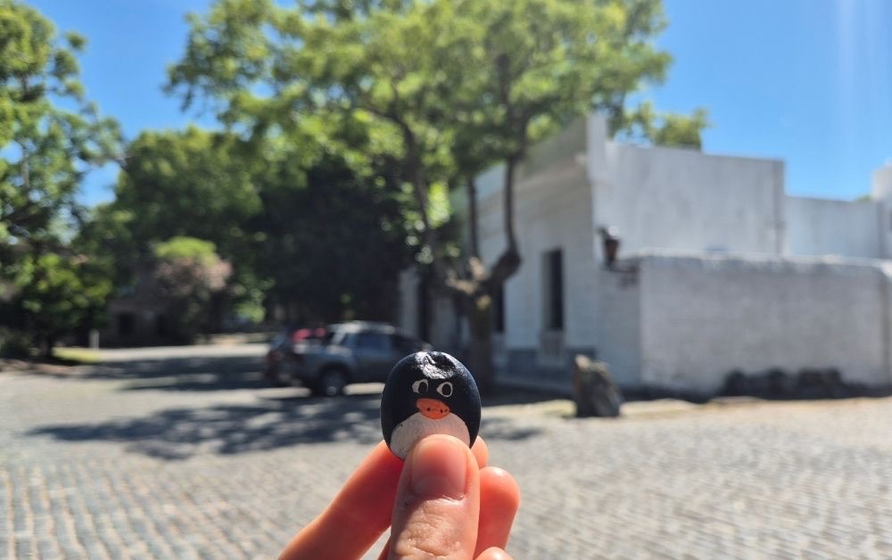 Hand-painted penguin stone #345 hidden at Casco historico de Colonia, Colonia del Sacramento, Uruguay (photo 1 of 5)