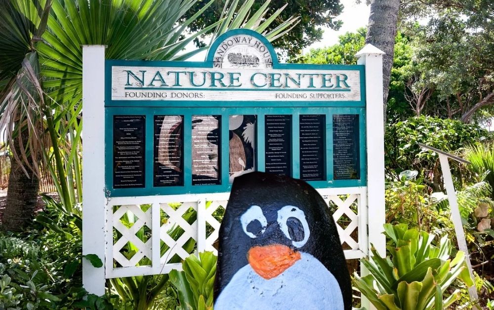 Hand-painted penguin stone #358 hidden at Sandoway Discovery Center, Florida, United States (photo 1 of 5)
