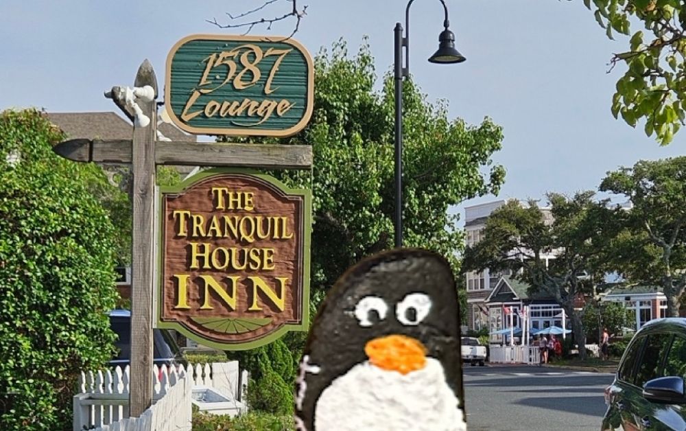 Hand-painted penguin stone #370 hidden at The Tranquil House Inn, North Carolina, United States (photo 1 of 5)