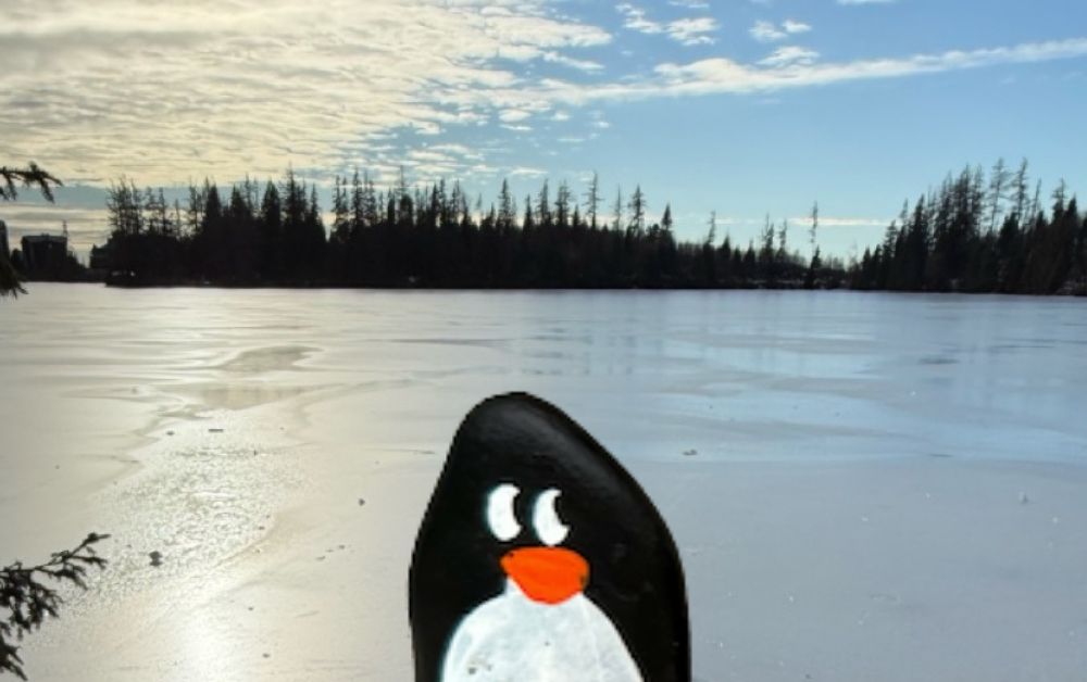 Hand-painted penguin stone #618 hidden at Bunch of Rocks, Strbske Pleso, Slovakia (photo 1 of 5)