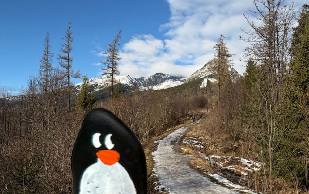 Hand-painted penguin stone #665 hidden at Tree Trunk, Strbske Pleso, Slovakia (photo 1 of 5)