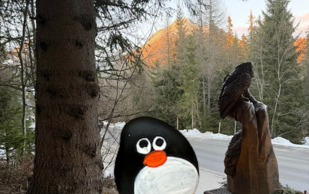 Hand-painted penguin stone #667 hidden at Wooden Owl Statue, Strbske Pleso, Slovakia (photo 1 of 5)