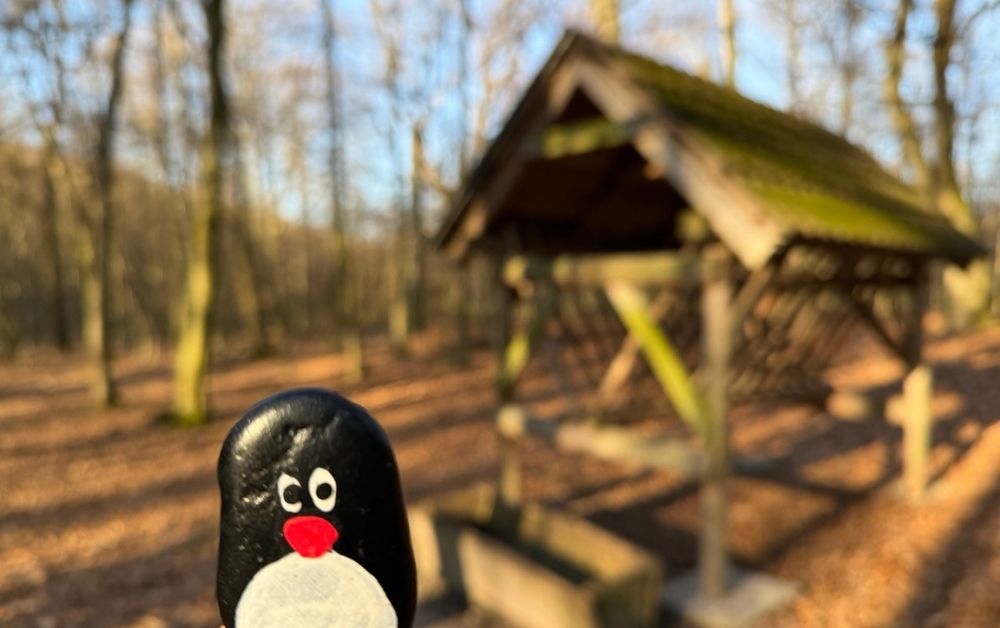 Hand-painted penguin stone #670 hidden at Tree, Little Carpathians, Slovakia (photo 1 of 5)