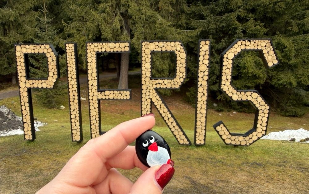 Hand-painted penguin stone #717 hidden at Rozhladna Permonikov, Podbranske, Slovakia (photo 1 of 5)