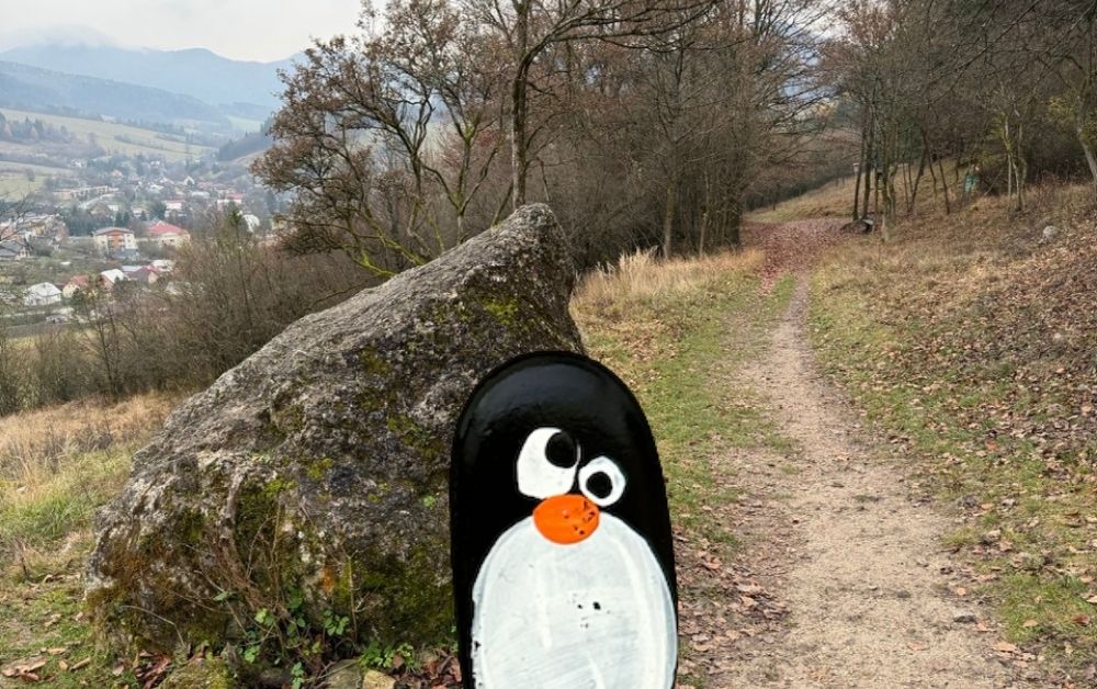 Hand-painted penguin stone #736 hidden at Rock near Chata pod Skalami, Sulov, Slovakia (photo 1 of 5)