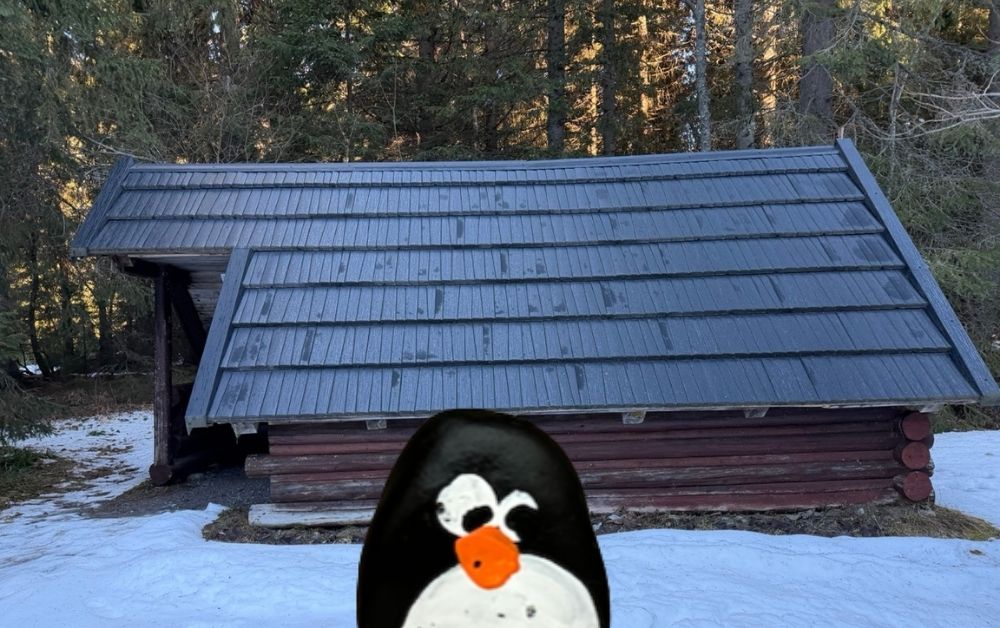 Hand-painted penguin stone #759 hidden at Wooden Hut at Koprovska Dolina, TANAP, Slovakia (photo 1 of 5)