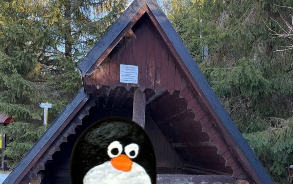 Hand-painted penguin stone #782 hidden at Razcestie pod Grunik, TANAP, Slovakia (photo 1 of 5)