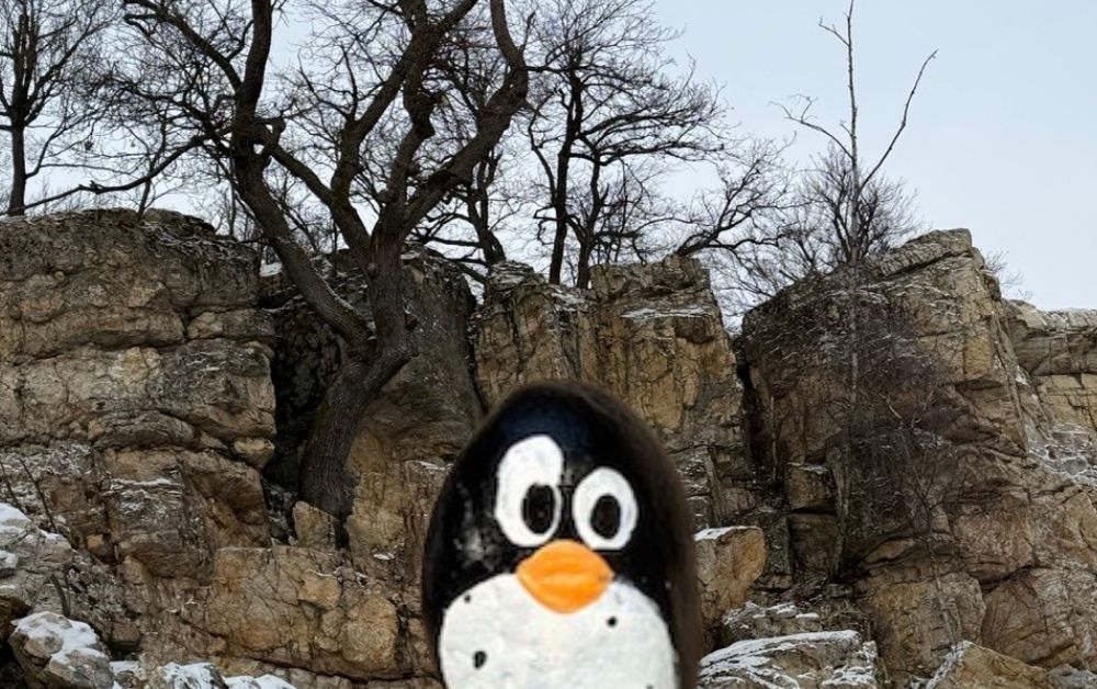 Hand-painted penguin stone #829 hidden at Small Cave, Little Carpathians, Slovakia (photo 1 of 5)