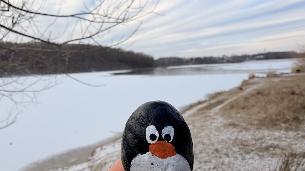 Hand-painted penguin stone #832 hidden at Lozorno Reservoir, Lozorno, Slovakia (photo 1 of 5)