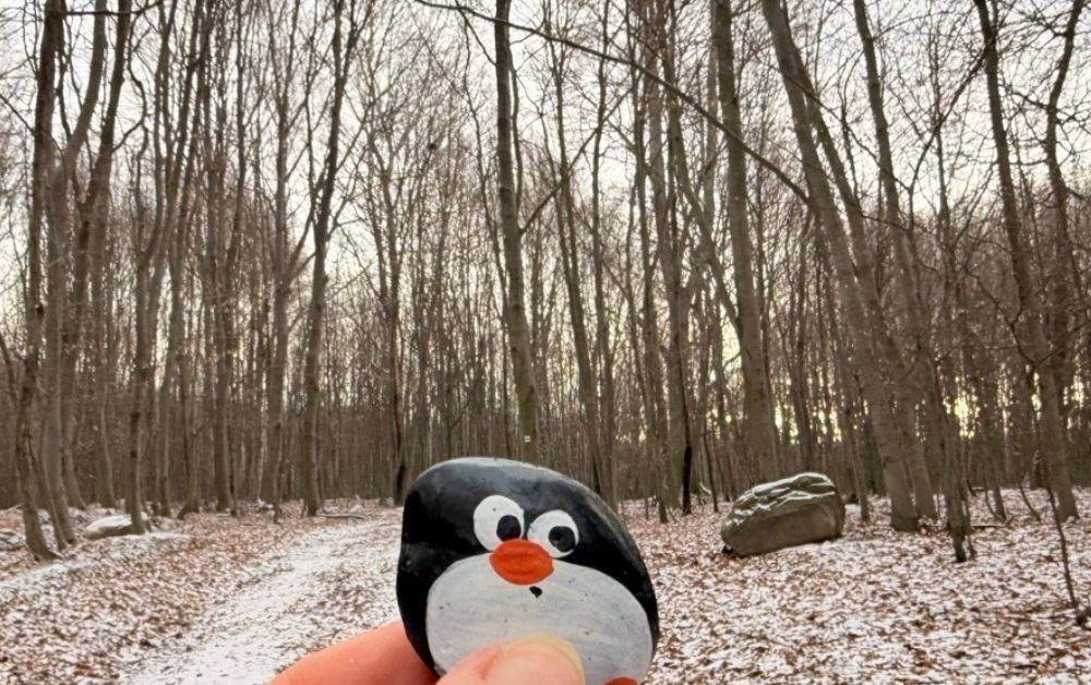 Hand-painted penguin stone #852 hidden at Random Tree, Little Carpathians, Slovakia (photo 1 of 5)