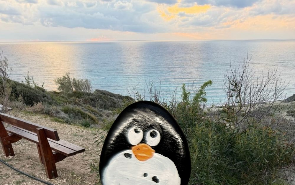 Hand-painted penguin stone #855 hidden at Aphrodite Picnic Site, Cyprus (photo 1 of 5)