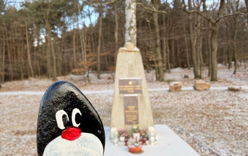 Hand-painted penguin stone #895 hidden at Tree at Rusniaky Memorial, Little Carpathians, Slovakia (photo 1 of 5)