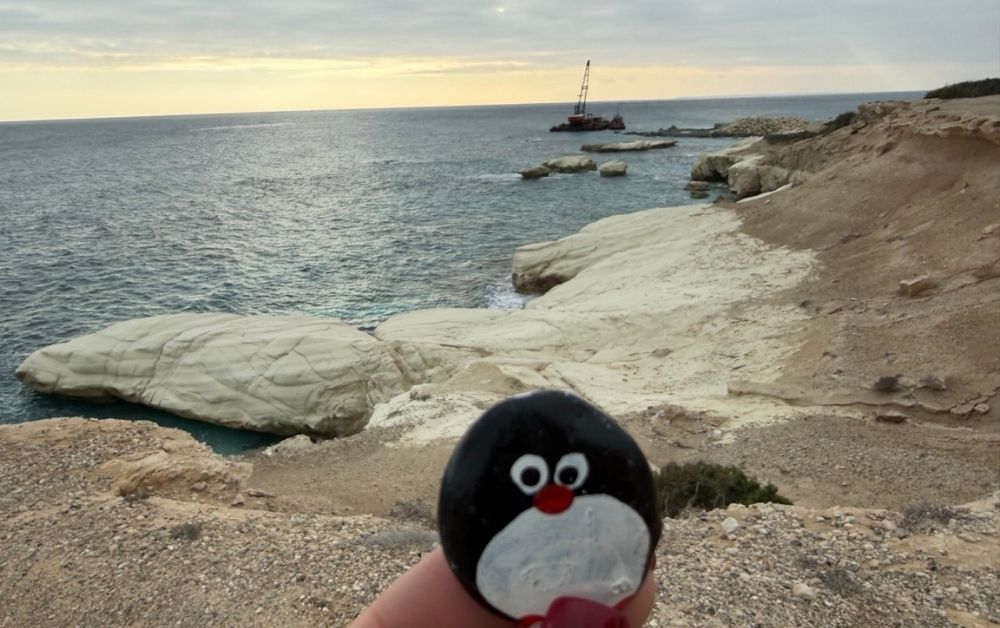 Hand-painted penguin stone #968 hidden at White Rocks, Cyprus (photo 1 of 4)