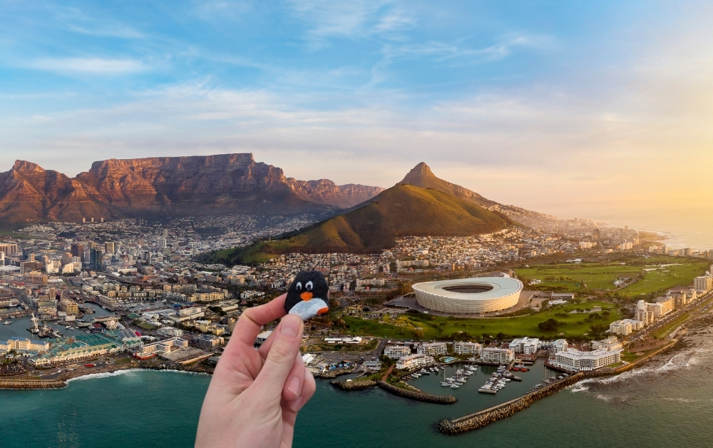 Hand-painted penguin stone #386 hidden at Top of Table Mountain, Cape Town, South Africa (photo 1 of 5)