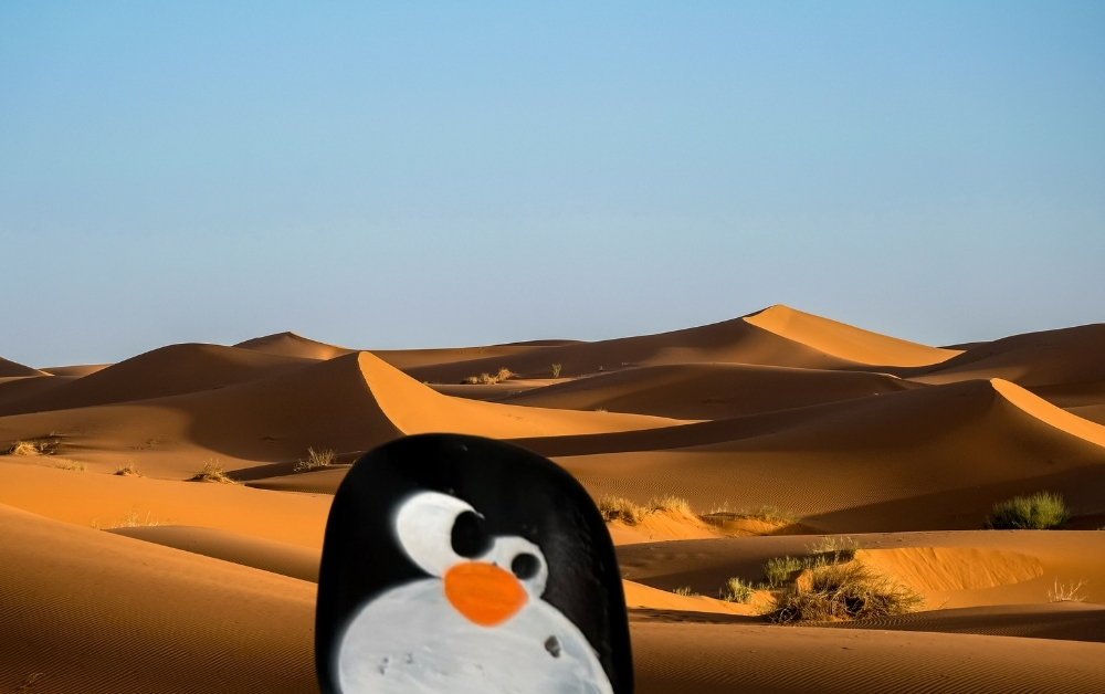 Hand-painted penguin stone #830 hidden at Middle of desert, Bassata Village, United Arab Emirates (photo 1 of 4)