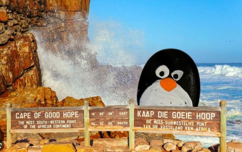 Hand-painted penguin stone #862 hidden at Cape of Good Hope, Cape Town, South Africa (photo 1 of 3)