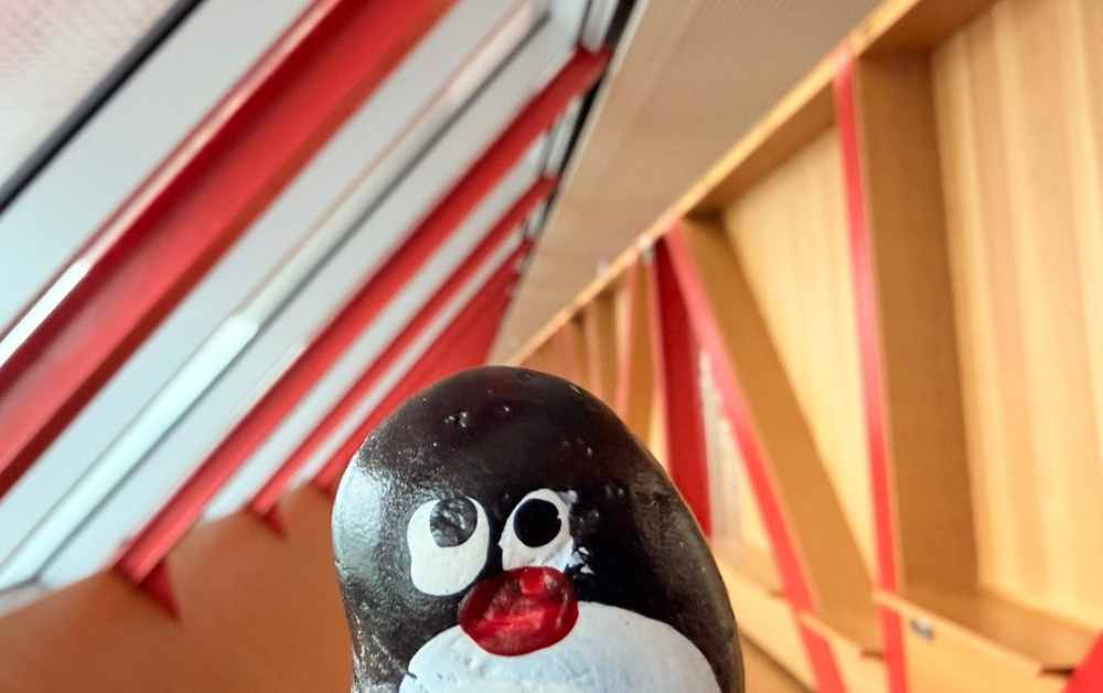 Hand-painted penguin stone #896 hidden at Slovak National Gallery, Bratislava, Slovakia (photo 1 of 5)