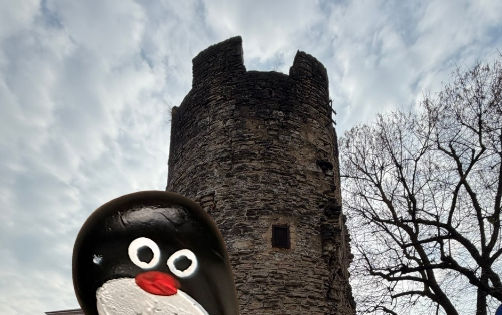 Hand-painted penguin stone #915 hidden at Torre del Galgario, Bergamo, Italy (photo 1 of 5)