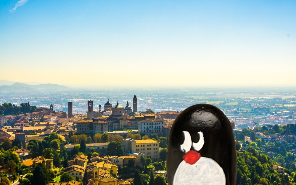 Hand-painted penguin stone #942 hidden at St John's Park, Bergamo, Italy (photo 1 of 5)