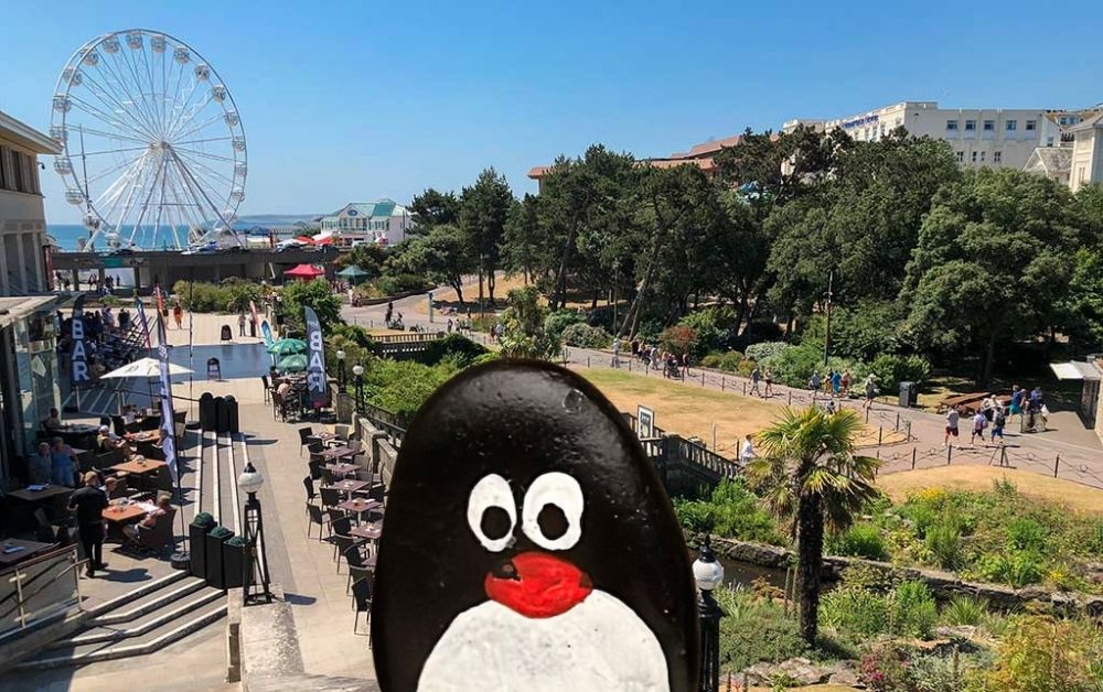 Hand-painted penguin stone #993 hidden at Bournemouth Parks Lower Gardens, Bournemouth, United Kingdom (photo 1 of 5)