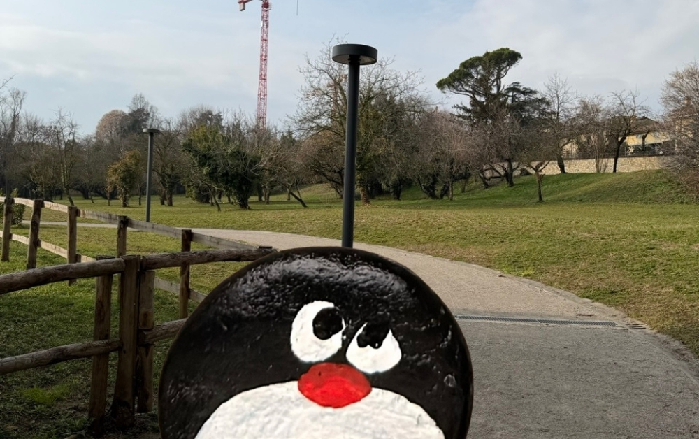 Hand-painted penguin stone #996 hidden at Fontana delle Rogge, Bergamo, Italy (photo 1 of 5)