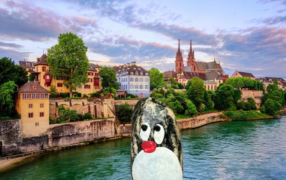 Hand-painted penguin stone #1416 hidden at Tree at Elisabethenanlage Park, Basel, Switzerland (photo 1 of 5)