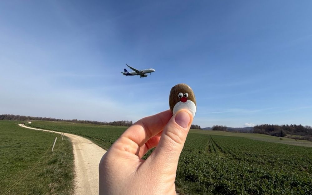 Hand-painted penguin stone #1451 hidden at Aussichtspunkt Flughafen Zurich, Near Zurich Airport, Switzerland (photo 1 of 5)
