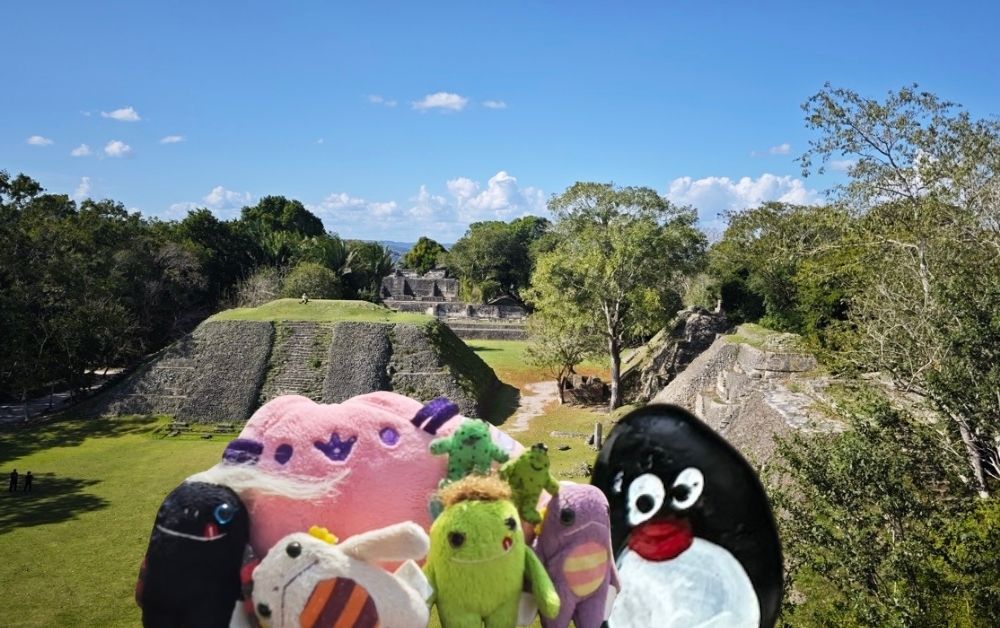 Hand-painted penguin stone #552 hidden at Xunantunich Mayan Ruins, San Jose Succotz, Belize (photo 1 of 5)