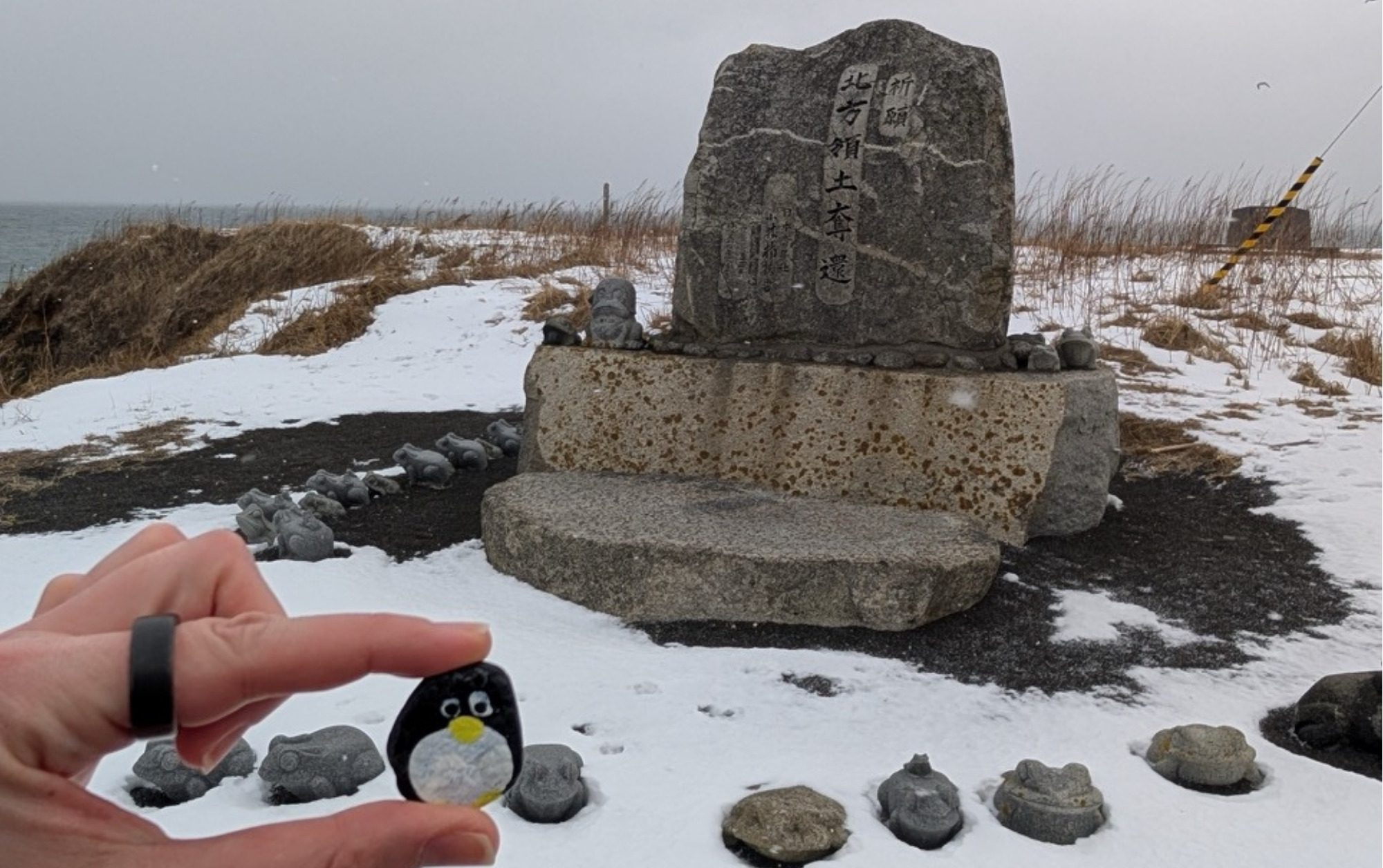 Hand-painted penguin stone #575 hidden at Cape Nosappu, Hokkaido, Japan (photo 1 of 5)
