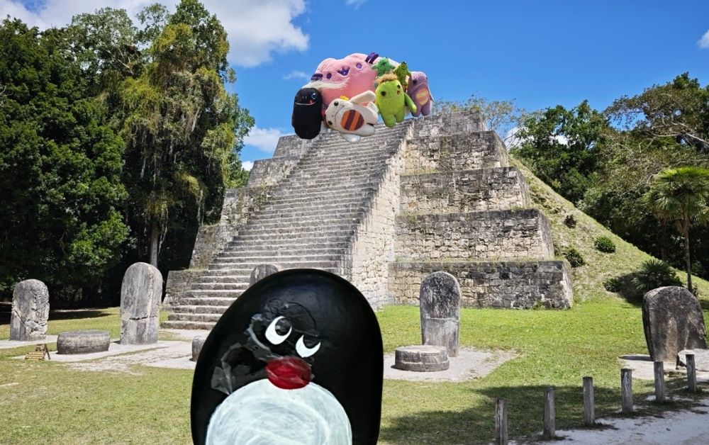 Hand-painted penguin stone #602 hidden at Parque Nacional Tikal, Tikal's Central Plaza, Guatemala (photo 1 of 5)